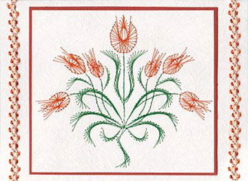 tulip tulip